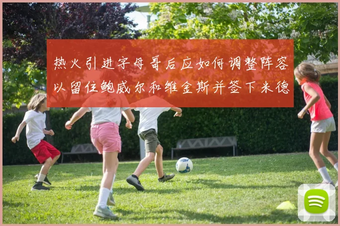 热火引进字母哥后应如何调整阵容以留住鲍威尔和维金斯并签下米德尔顿